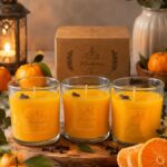 MANDARINA & CLAVO